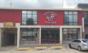 principal